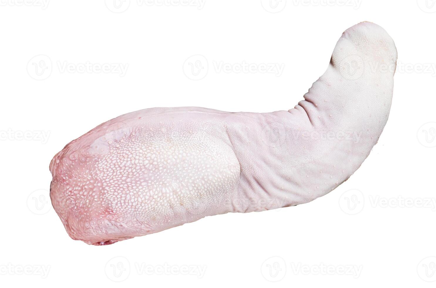 Raw pork tongue on butcher tray with meat knife. Isolated on white background. photo