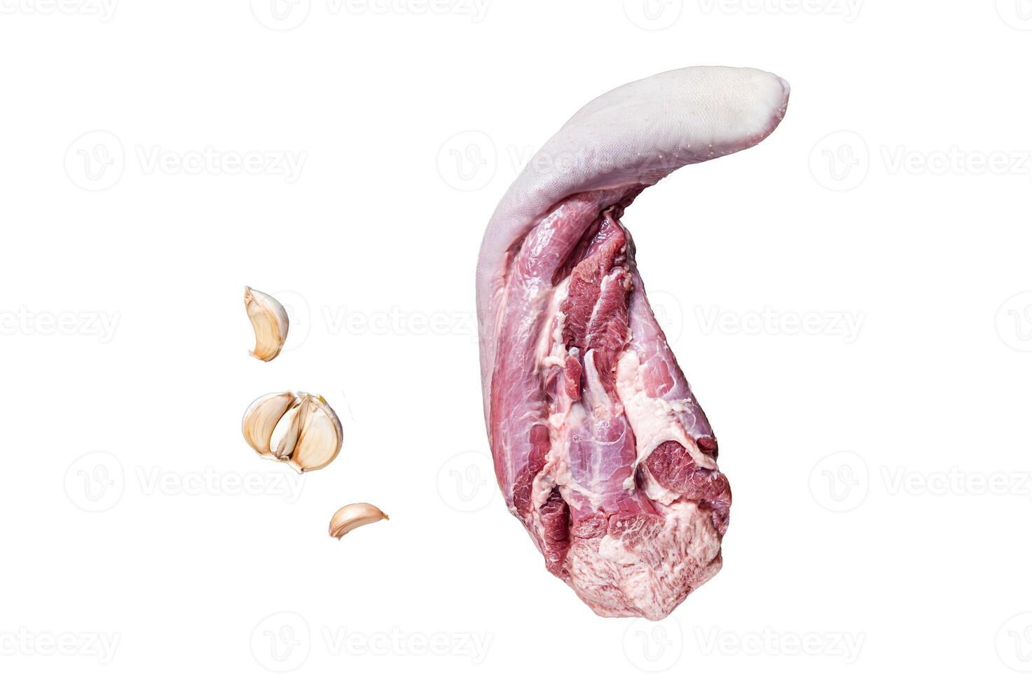 Raw beef tongue on kitchen table with herbs. Isolated on white background. photo