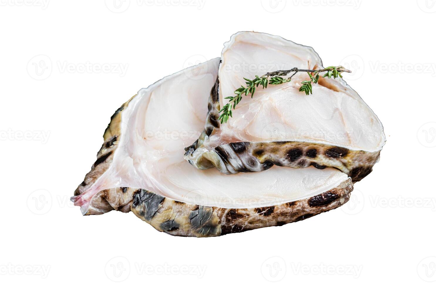 Fresh Raw wolffish o wolf fish Steak Isolated on white background, top view. photo