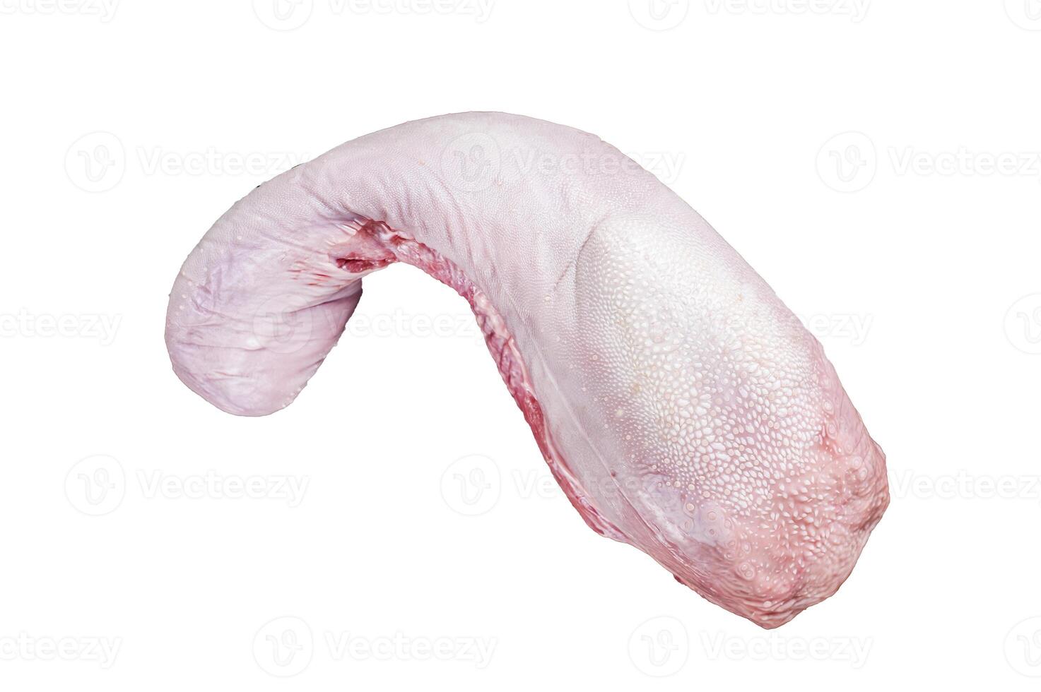 Uncooked Raw beef or veal tongue on butcher board with meat cleaver. Isolated on white background. photo