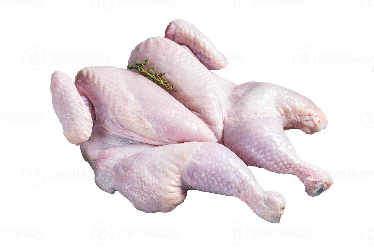 Raw spatchcock chicken meat with garlic and thyme. Isolated on white background. photo
