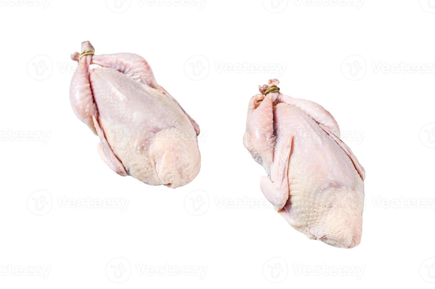 Raw quails on a kitchen table. Isolated on white background, Top view. photo