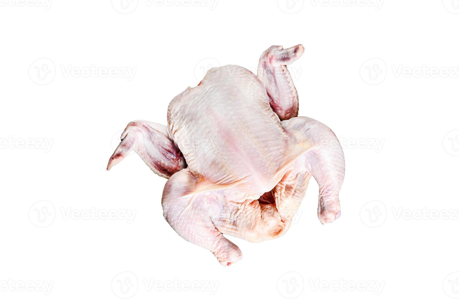 Concept of cooking whole chicken with rosemary and pink pepper. Isolated on white background. photo