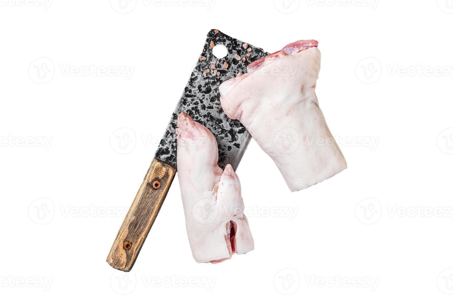 Butcher shop - Raw pork hoof, knuckle, feet Isolated on white background, top view. photo