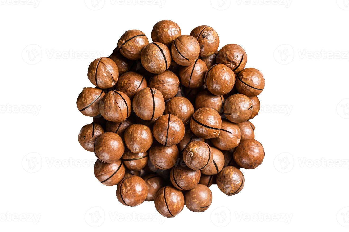Macadamia nuts in a shell ready to eat. Isolated, white background. photo
