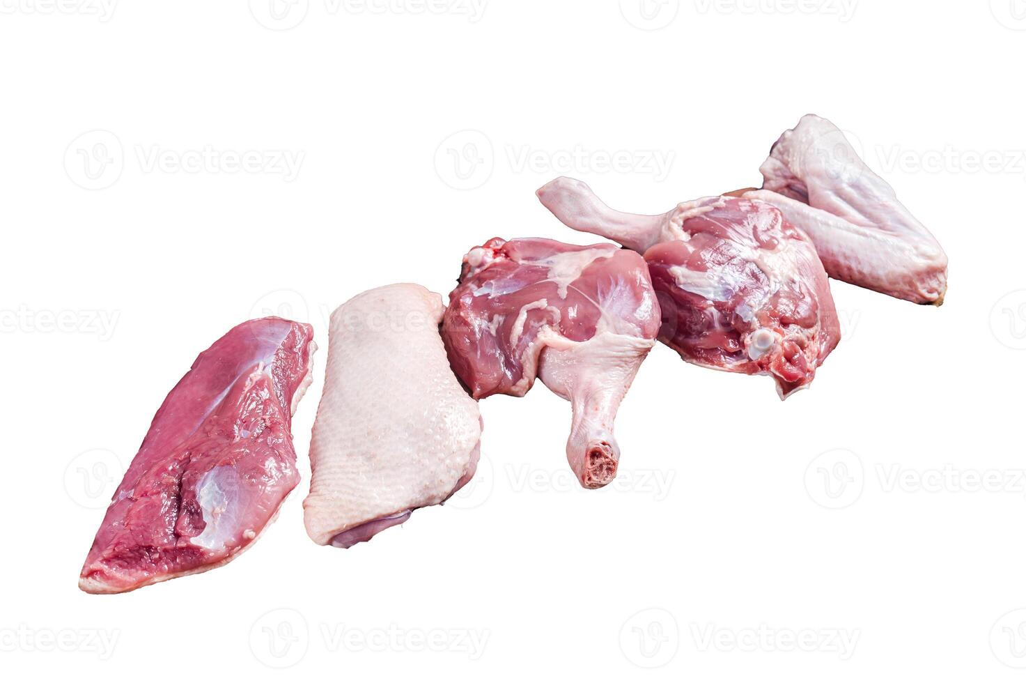 Raw duck meat ready to cook, breast fillet, legs, wings. Isolated, white background. photo
