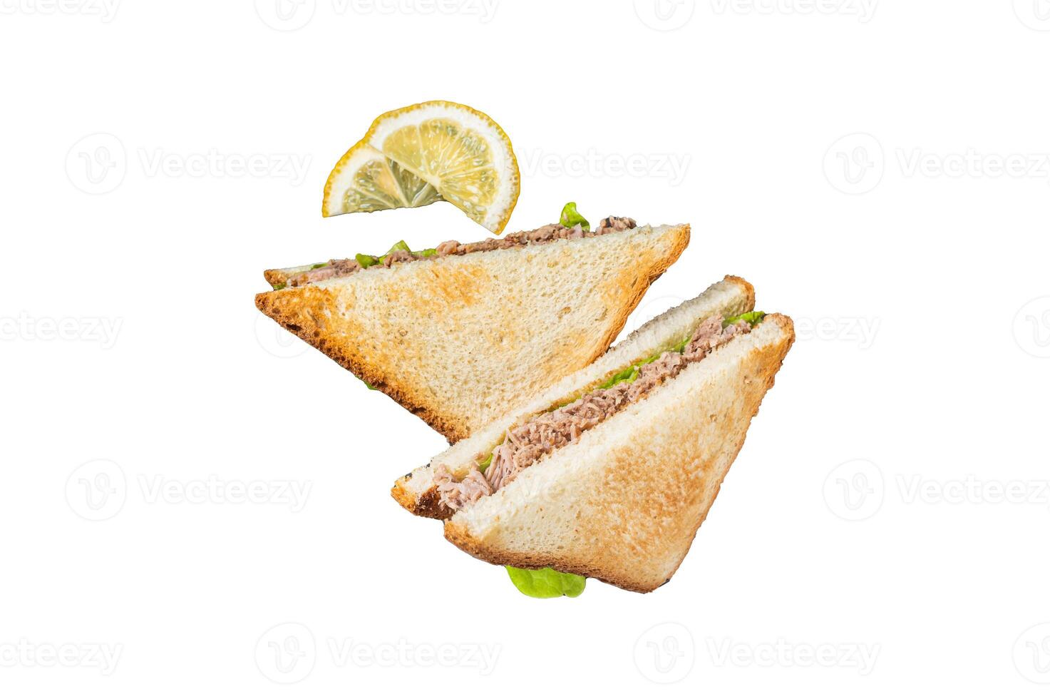 Tuna Salad Sandwich with Cheese, lettuce and herbs. Isolated, white background. photo