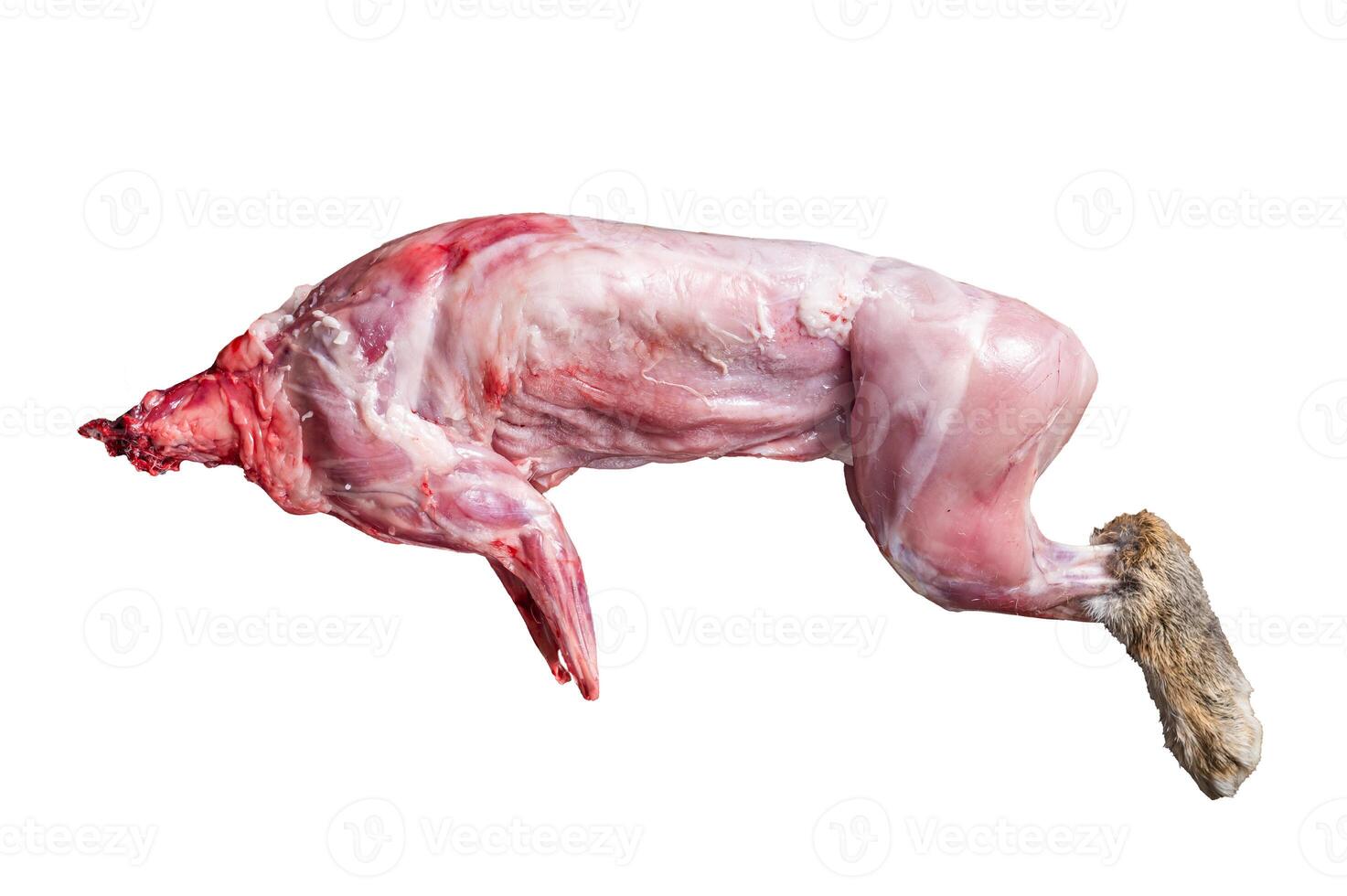 Whole game hare, raw meat on wooden old rustic table. Isolated on white background. photo
