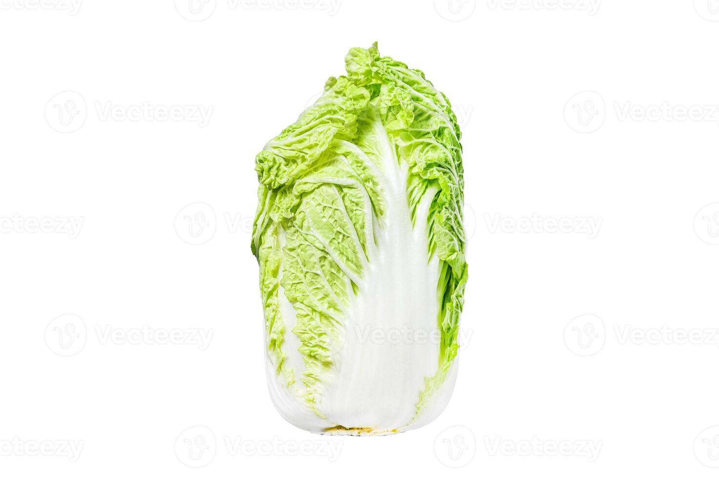 White Chinese cabbage. Organic vegetables. Isolated on white background. Top view. photo