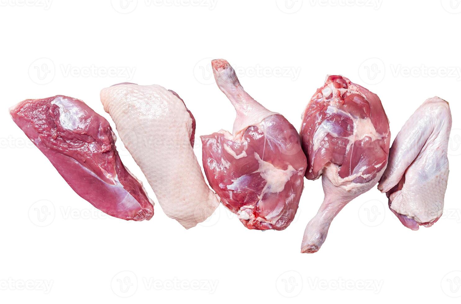 Raw duck meat ready to cook, breast fillet, legs, wings. Isolated, white background. photo