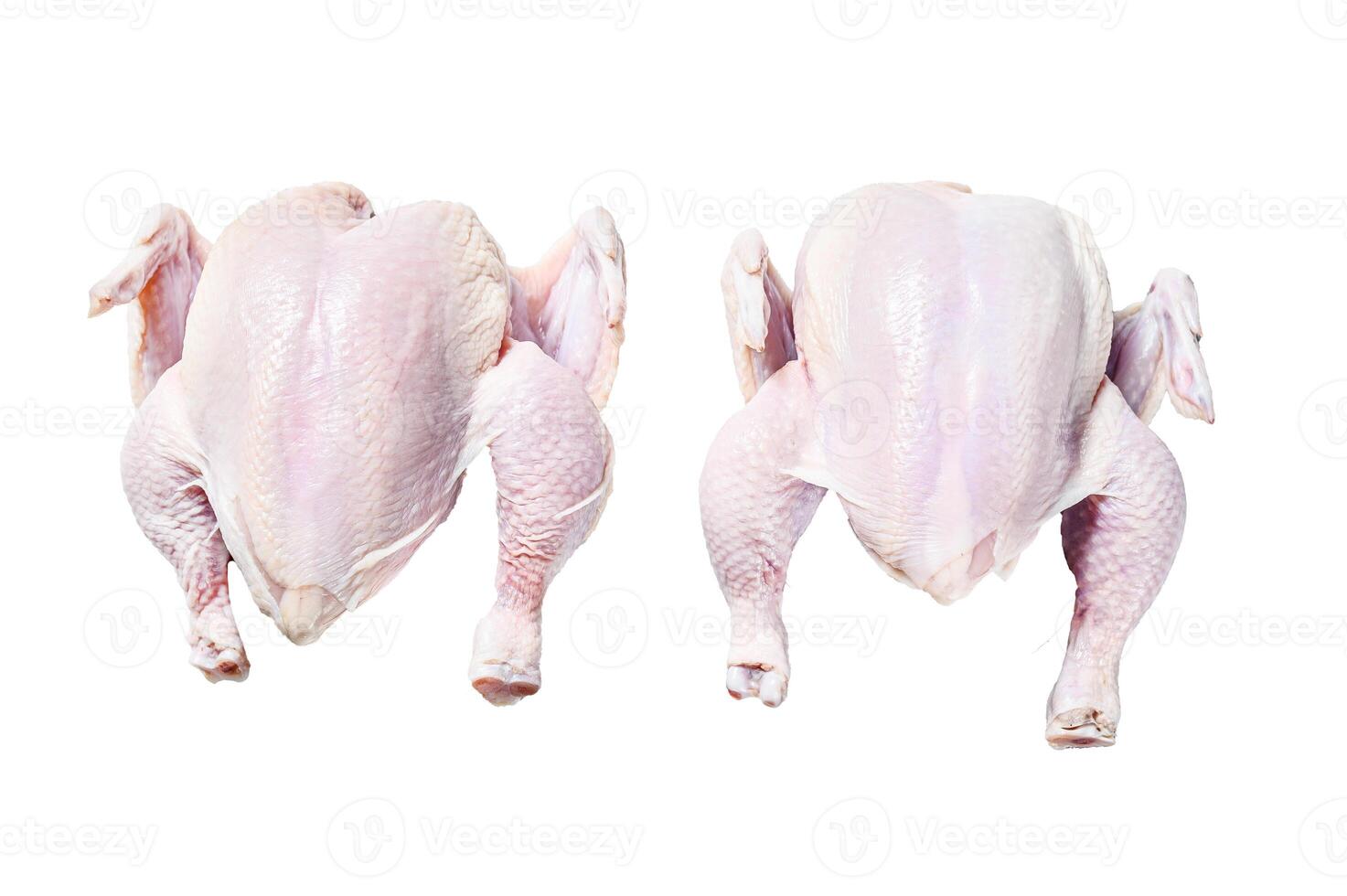 Organic farm raw whole chicken. Isolated on white background. Top view. photo
