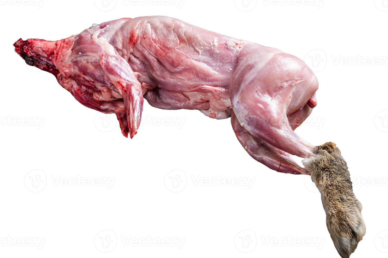 Whole game hare, raw meat on wooden old rustic table. Isolated on white background. photo