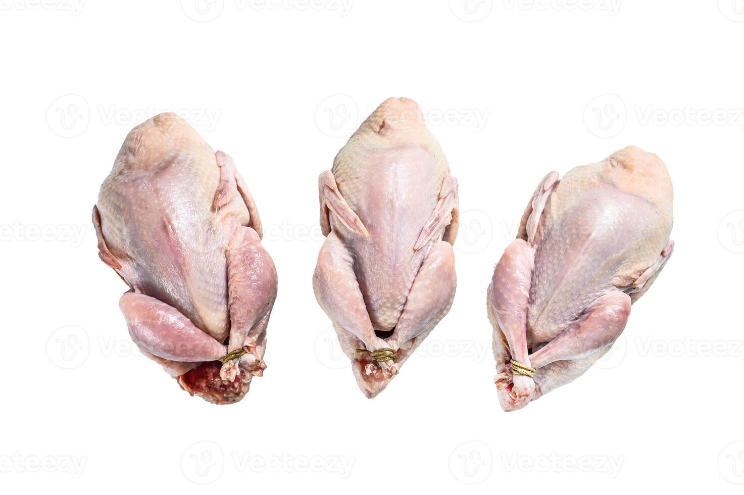 Raw quails on a kitchen table. Isolated on white background. photo