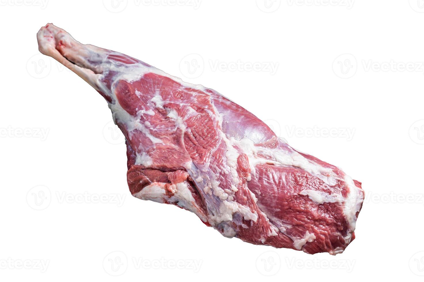 Ready for cooking raw lamb mutton leg with Thigh. Isolated on white background. photo