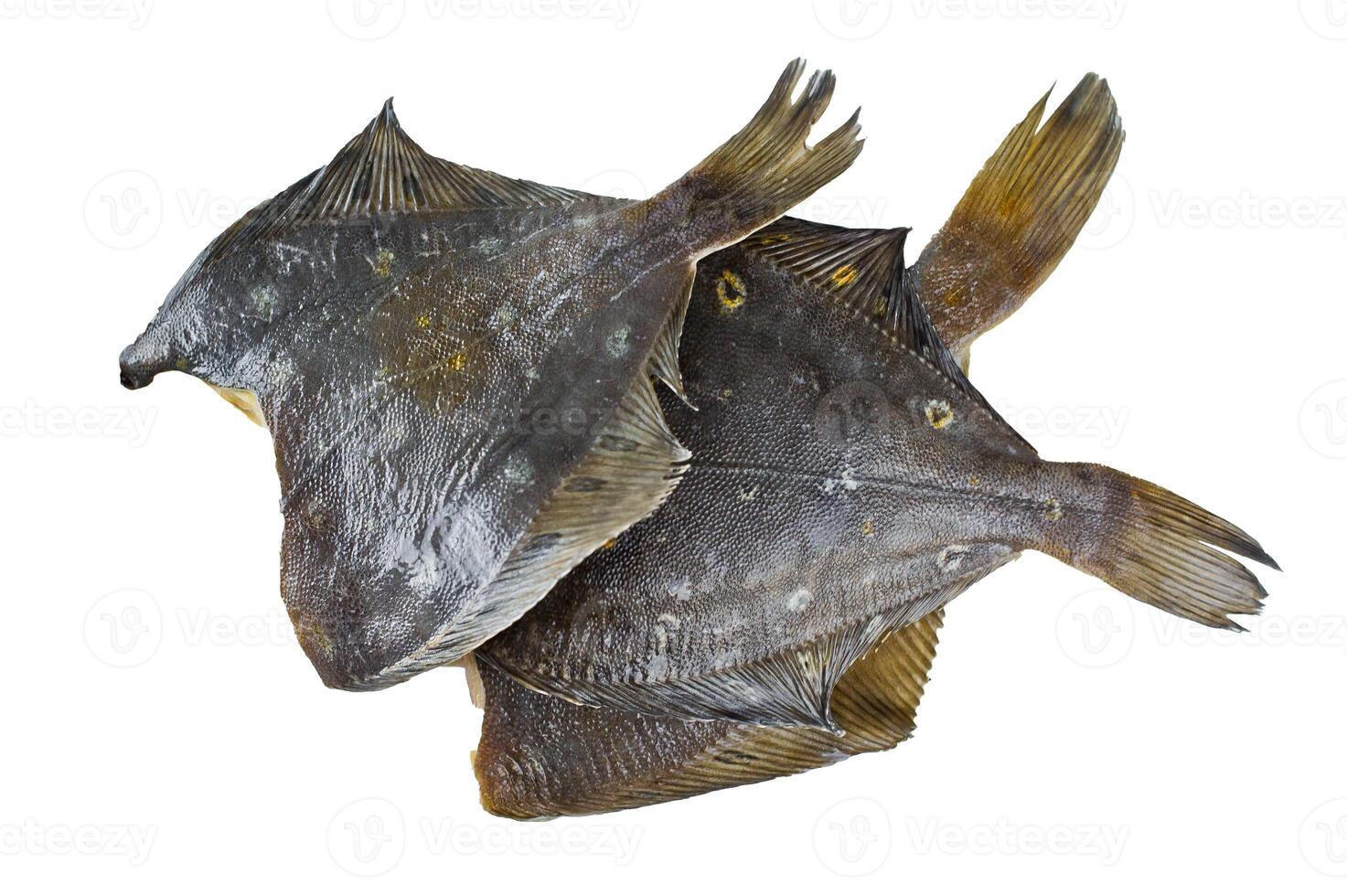 Raw plaice. Isolated on white background. photo