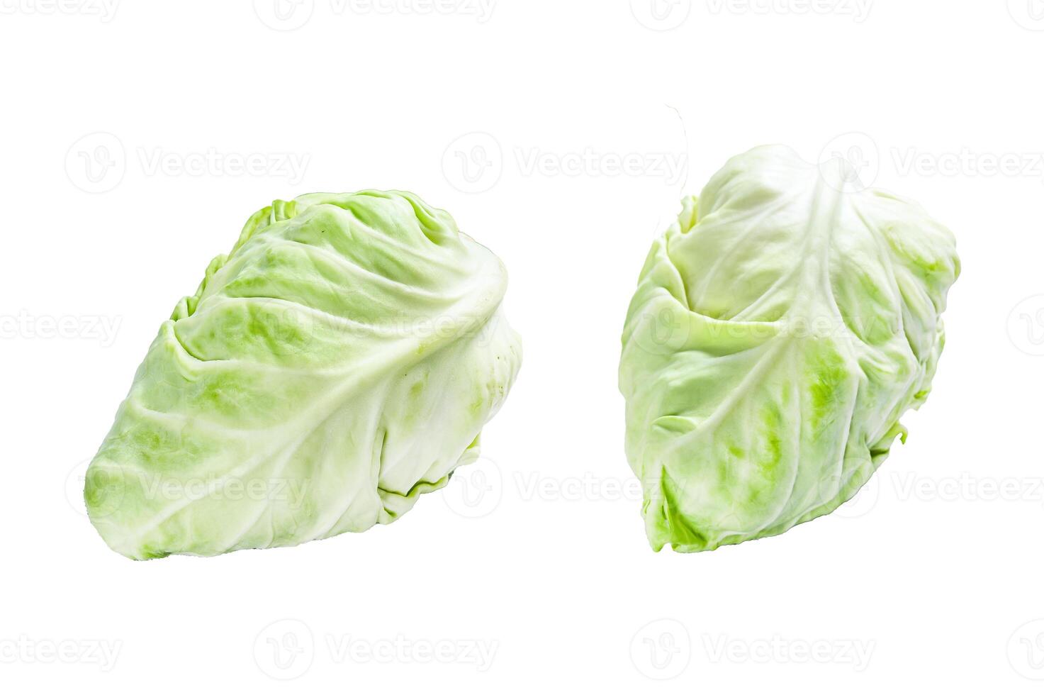 Raw Pointed white cabbage head. Isolated on white background. Top view. photo