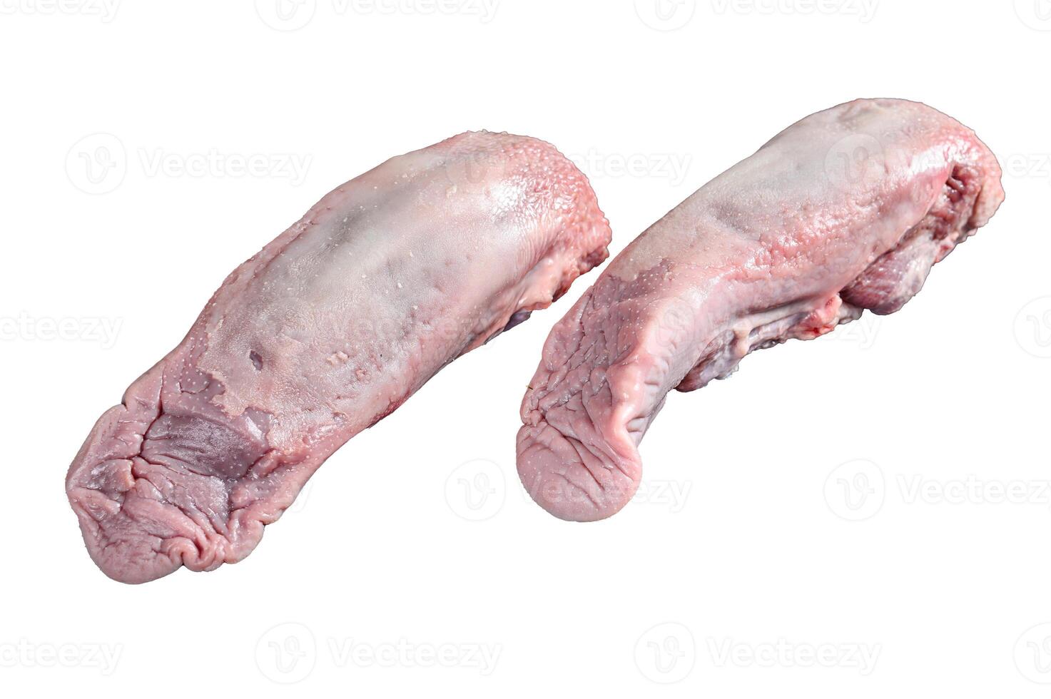 Raw pork tongue with spices and herbs. Isolated on white background. photo
