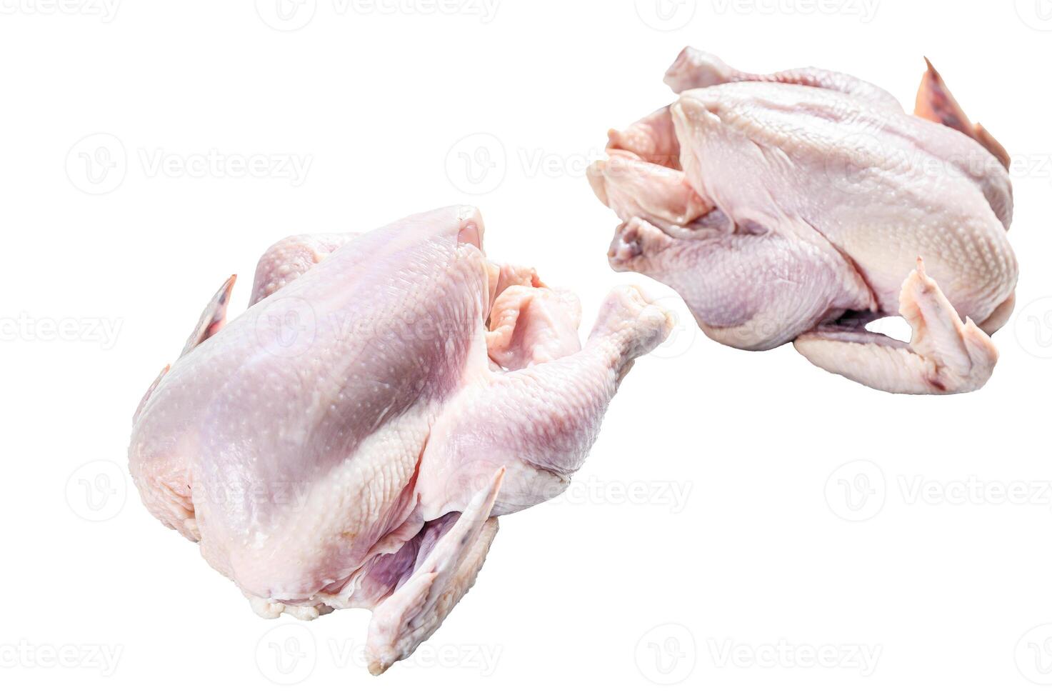 Whole raw Free range chicken. Isolated on white background. photo