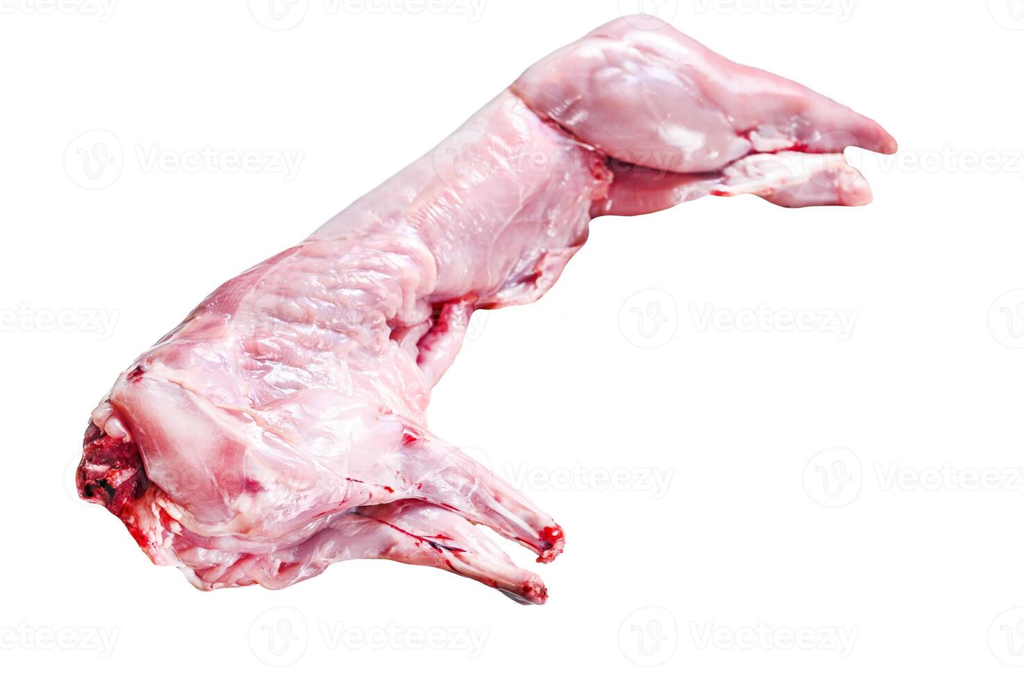 Whole raw rabbit Isolated on white background. Top view. photo