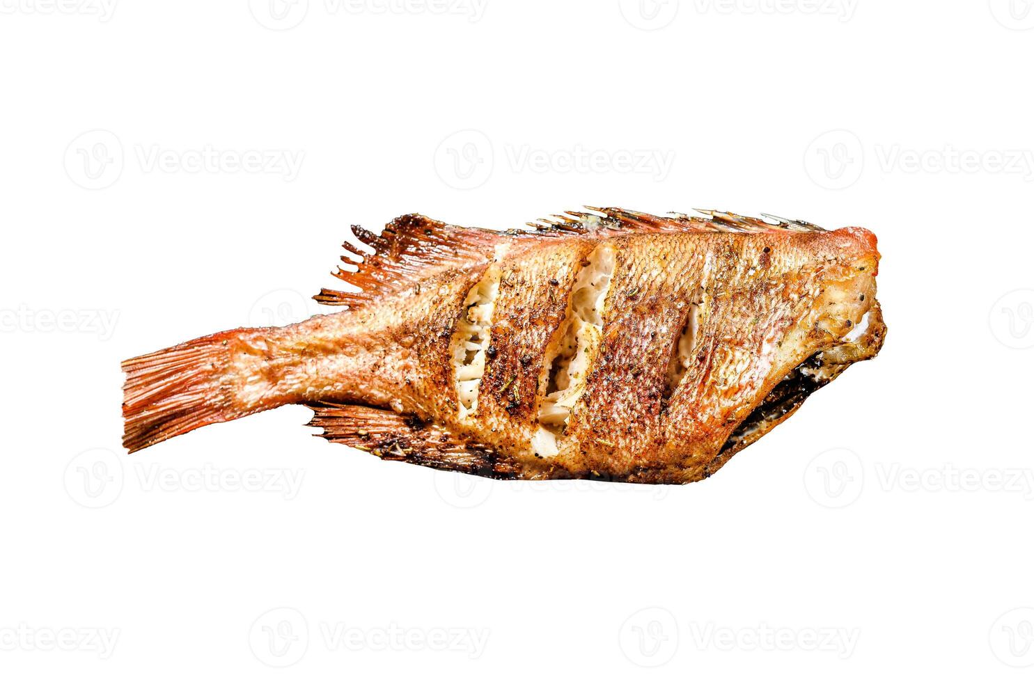 Red sea bass fried. Isolated on white background. Top view photo