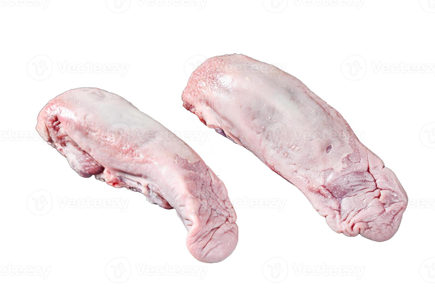 Raw pork tongue with spices and herbs Isolated on white background. Top view. photo