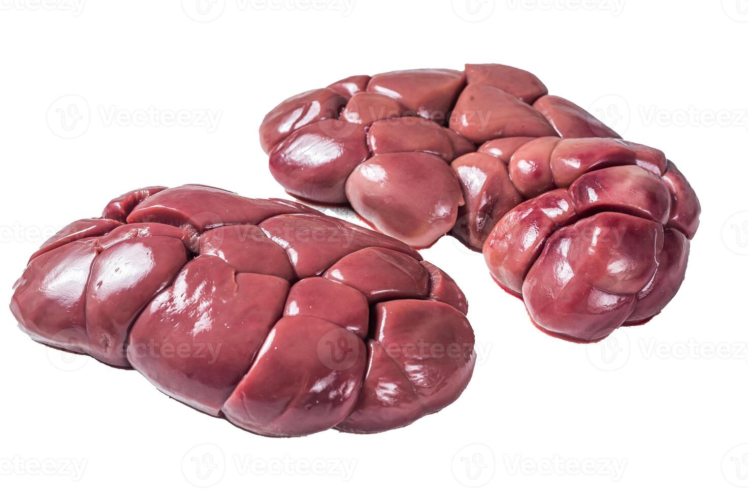 Raw Beef kidney on butcher table. Isolated on white background photo