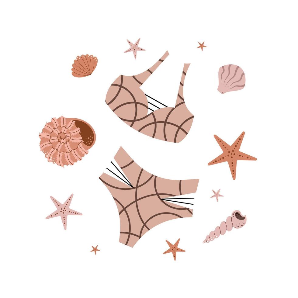 Starfish and seashell summer swimwear. Ocean-inspired style. Flat illustration on white vector