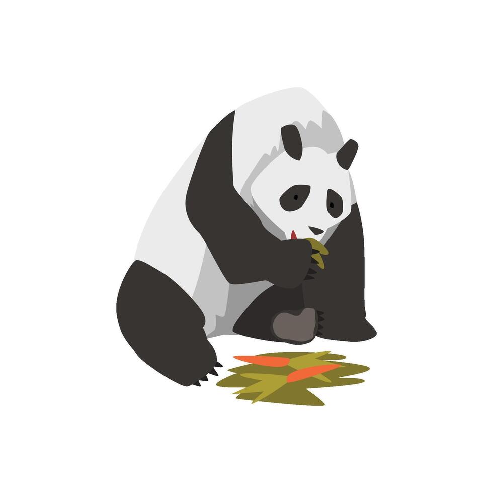 Cute Panda Bear Animal Eating Carrot Illustration vector