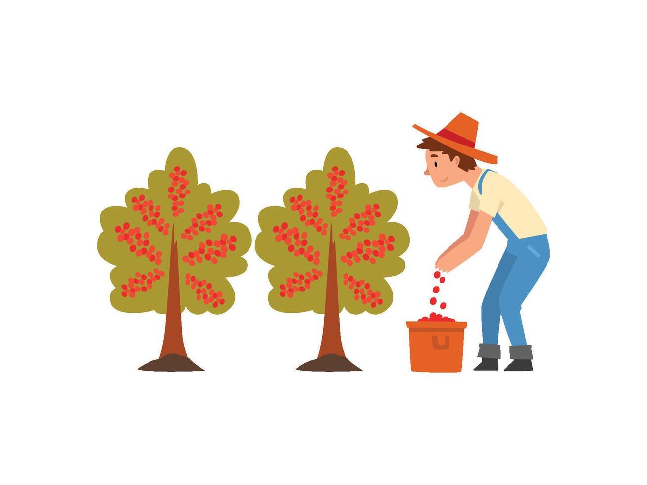 Male Farmer in Straw Hat Gathering Coffee Beans on Plantation, Coffee Industry Production Stage Illustration vector