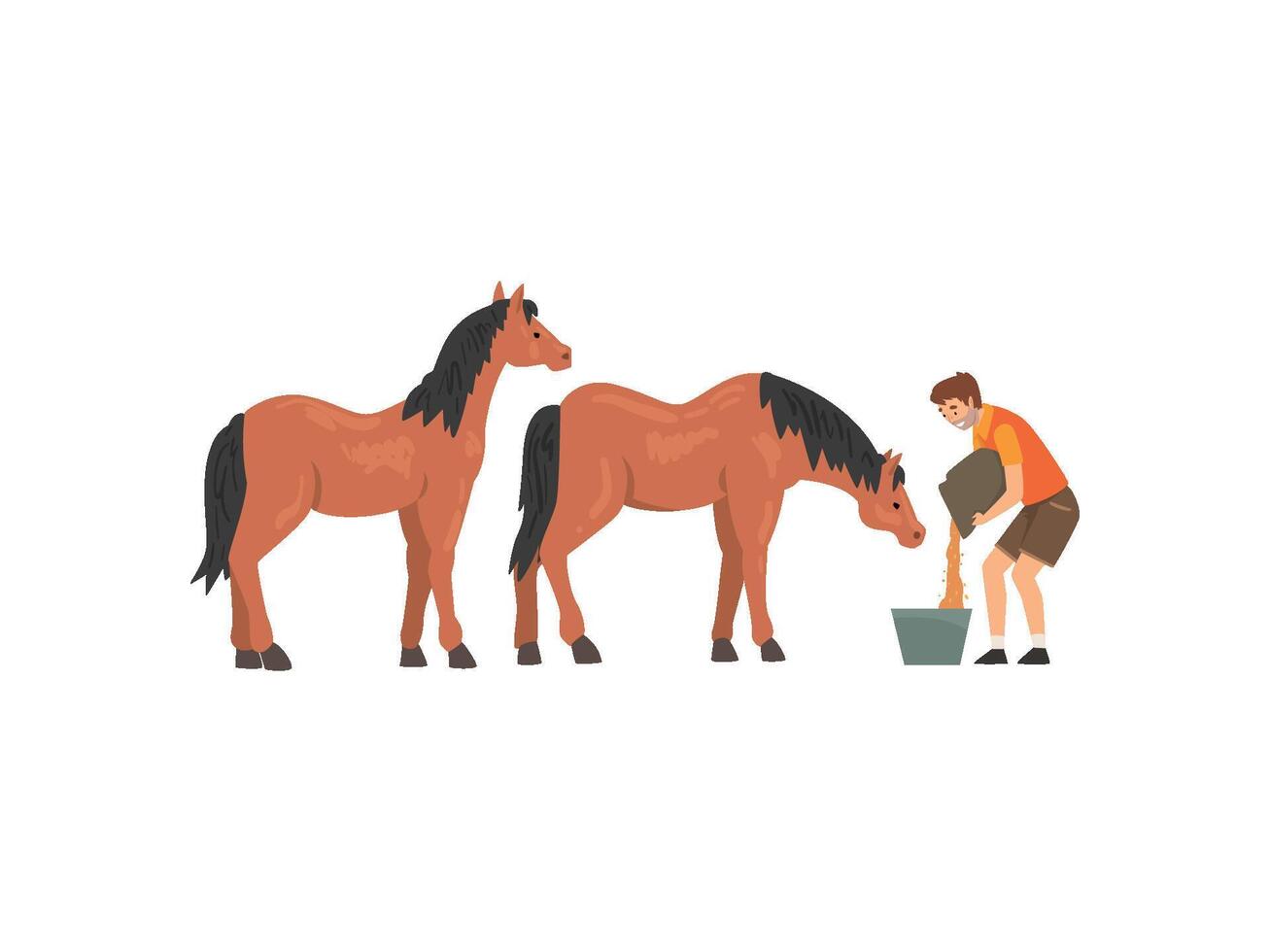 Zoo Worker Feeding Horses, Professional Zookeeper Character Caring of Animals Illustration vector
