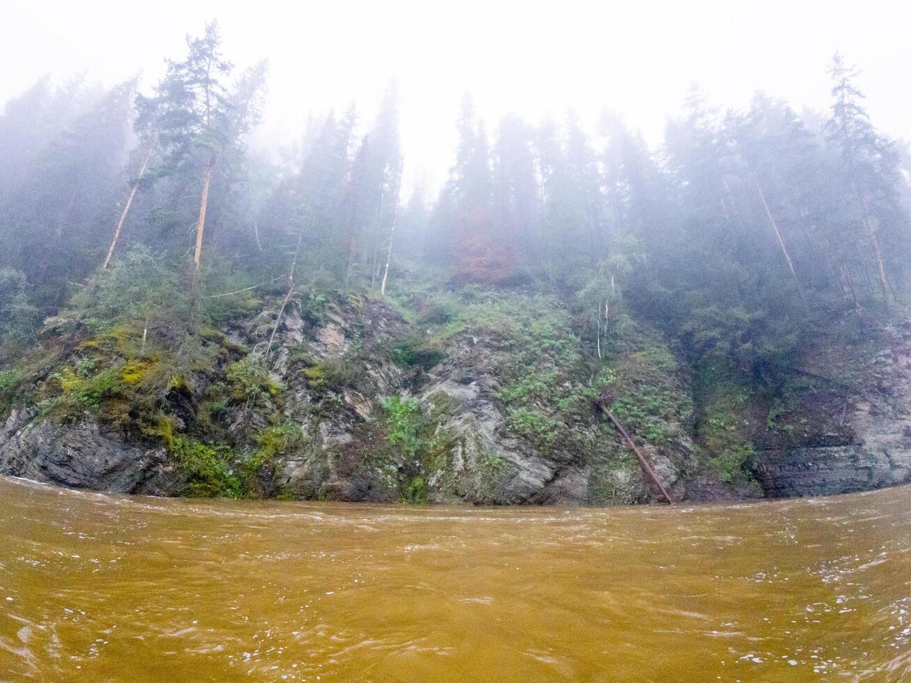 A picturesque river flows gracefully, enveloped by tall trees and rugged rocks, all under the embrace of a mysterious foggy day that adds enchantment to the beautiful scenery photo