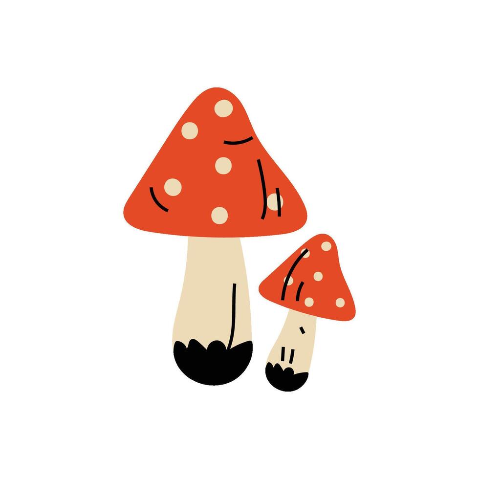 Amanita Muscaria Poisonous Mushrooms, Summer Forest Design Element Illustration vector