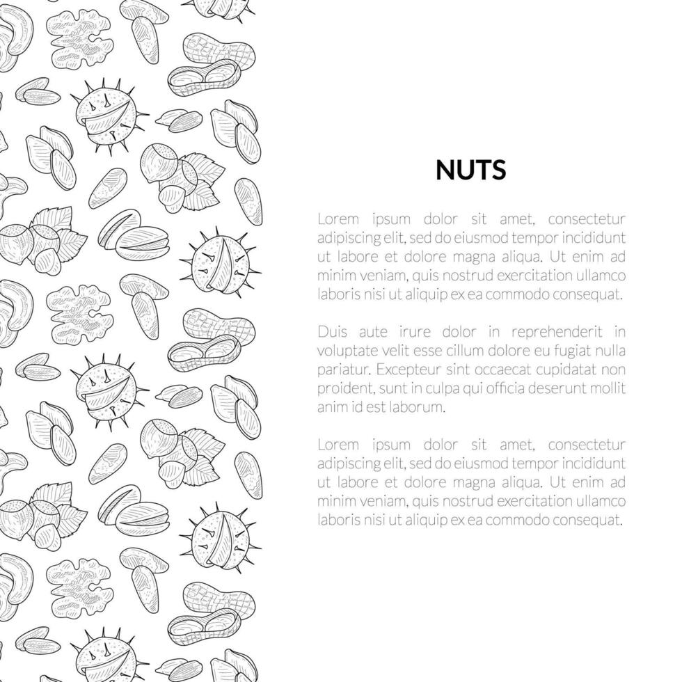 Nuts Banner Template with Place for Your Text, Tasty and Healthy Organic Food, Nuts and Seeds Hand Drawn Illustration vector