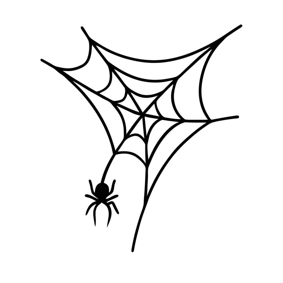 Spider web coloring pages vector