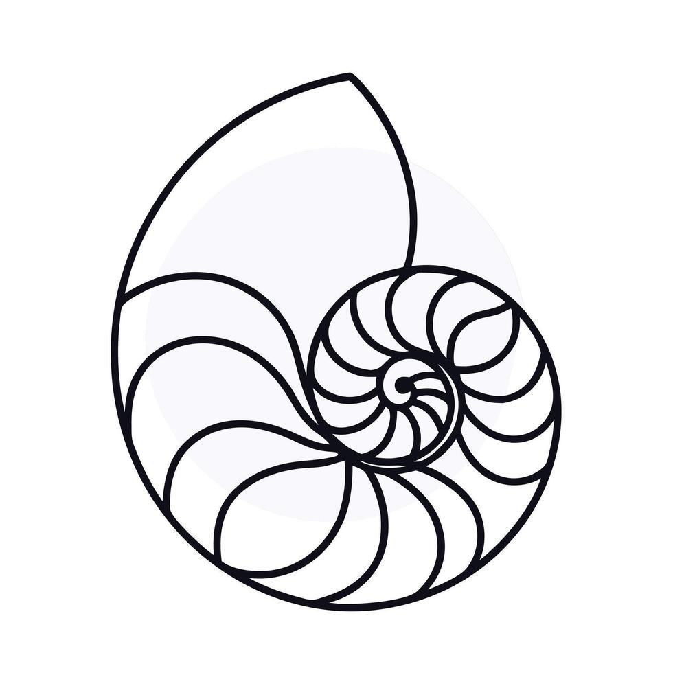 Nautilus shell icon line art illustration vector