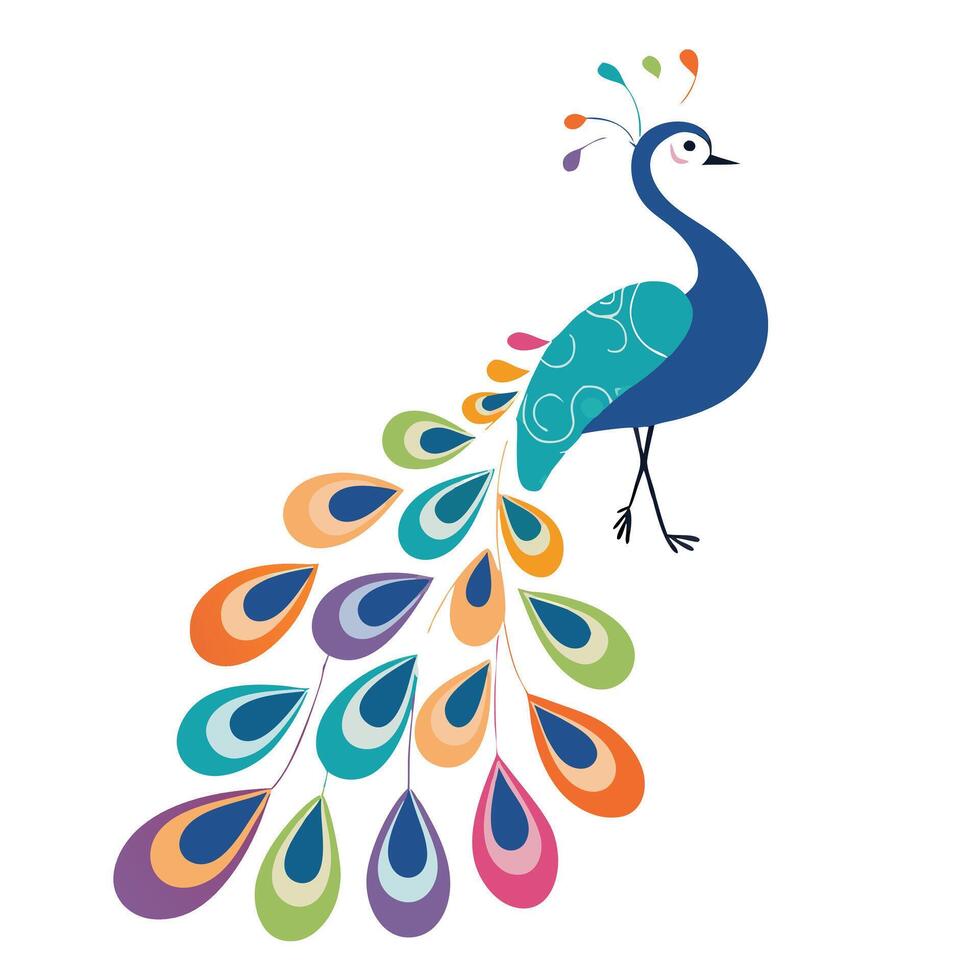 A colorful peacock with feathers on its back vector