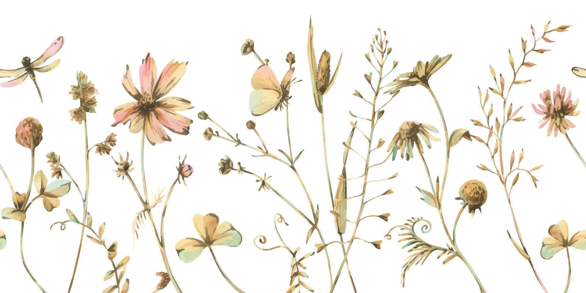 Field, meadow, wild flowers and herbs cosmos, chamomile, clover and insects. Watercolor illustration hand drawn in beige, brown and ocher colors. Seamless border isolated from the background vector