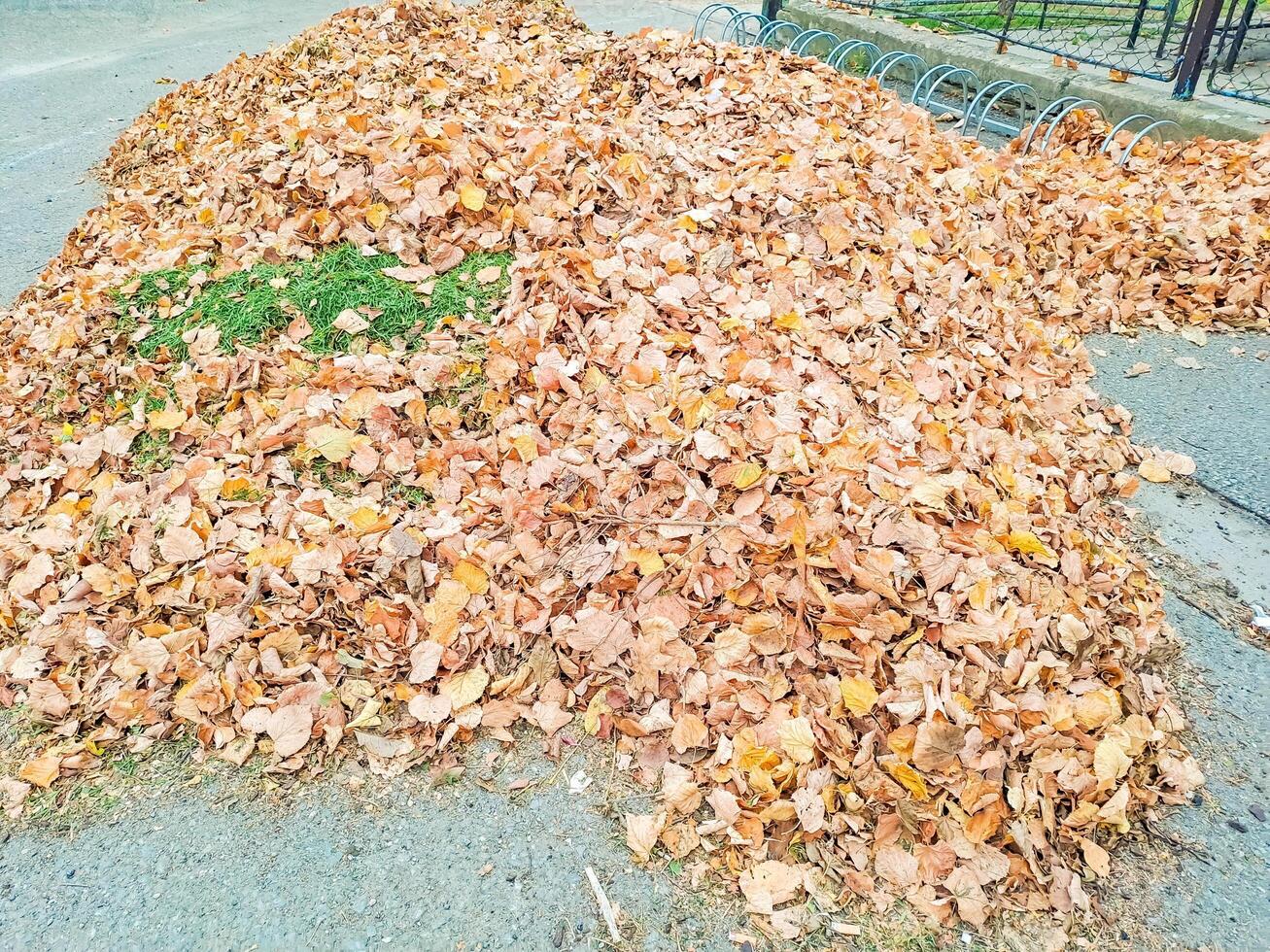 Huge heap of dry leaves and brunches laying on ground near residence building. photo