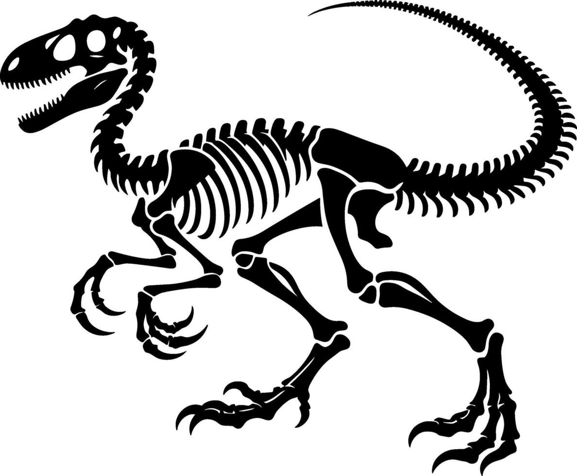 Velociraptor Dinosaur Skeleton vector