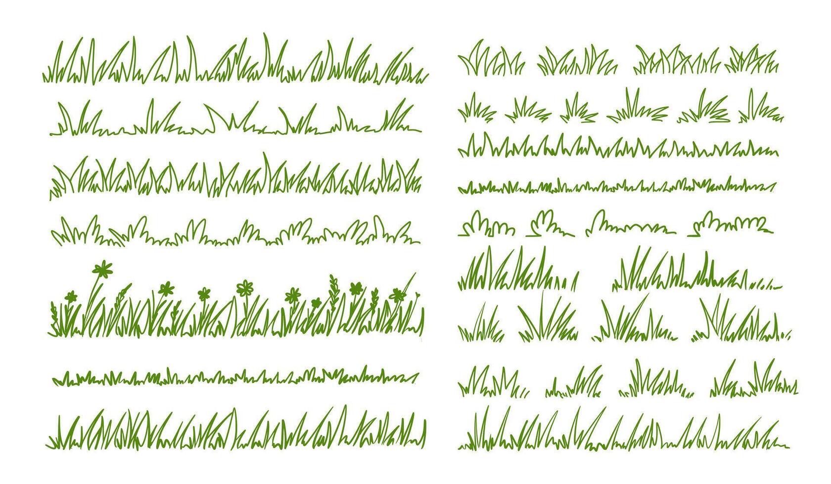 Sketch grass. Doodle grassy plants. Hand drawn outline silhouette wild herb field border. Springs garden lawn, flower grasses bush. meadow pattern set vector