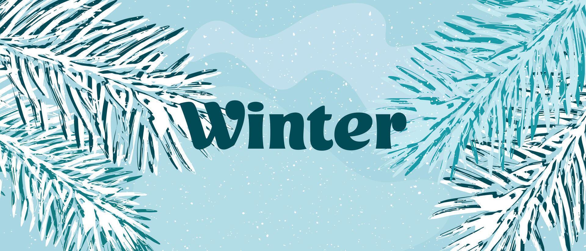 Winter background with snowy fir branches. Winter banner or poster. vector