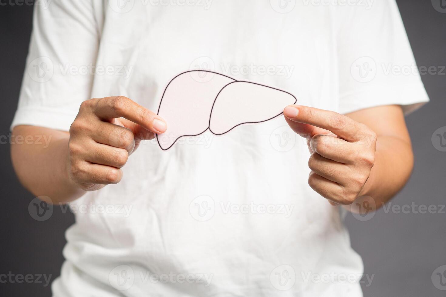 Hands holding a liver shape made of paper while standing on a gray background photo