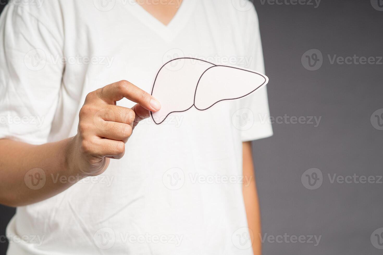 Hand holding a liver shape made of paper while standing on a gray background photo