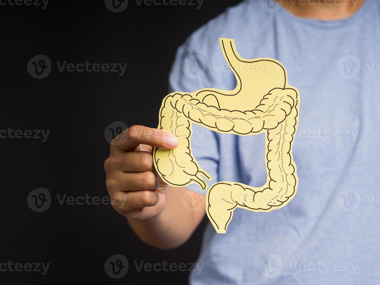 Hand holding a large intestine shape made from yellow paper while standing on a black background photo