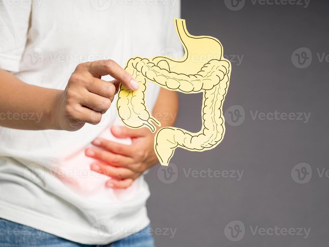 Hand holding a large intestine shape made from paper and touching stomach painful suffering from stomachache causes of gastric ulcer, appendicitis, or gastrointestinal system disease photo