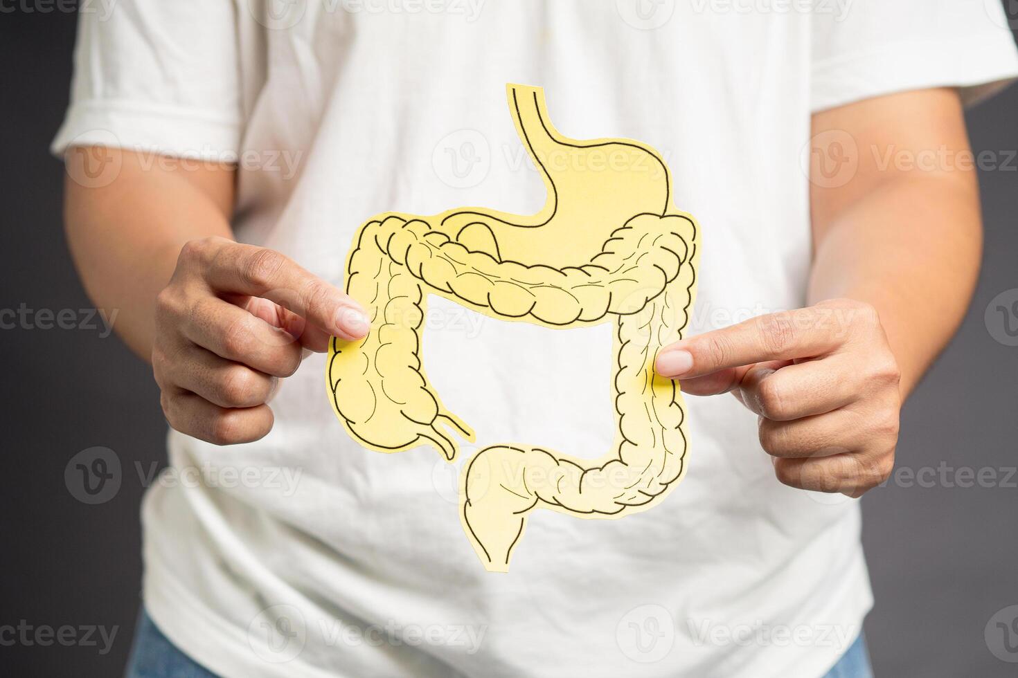 Hand holding a large intestine shape made from yellow paper while standing over a gray background photo