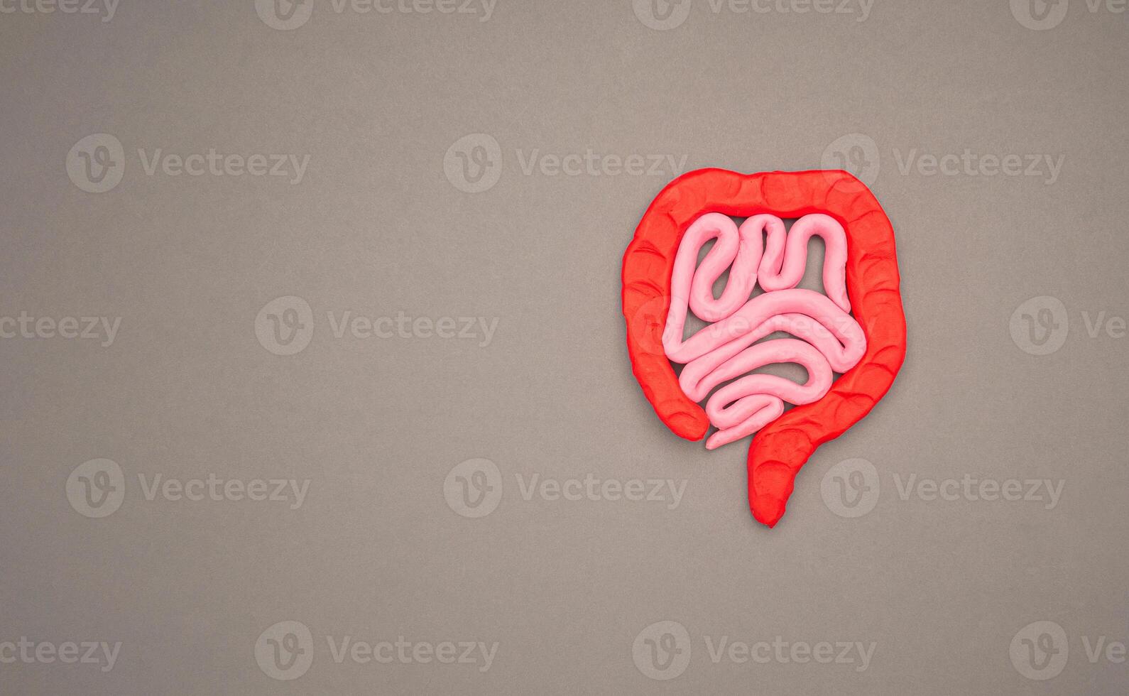 A large intestine shape made from plasticine over a gray background photo