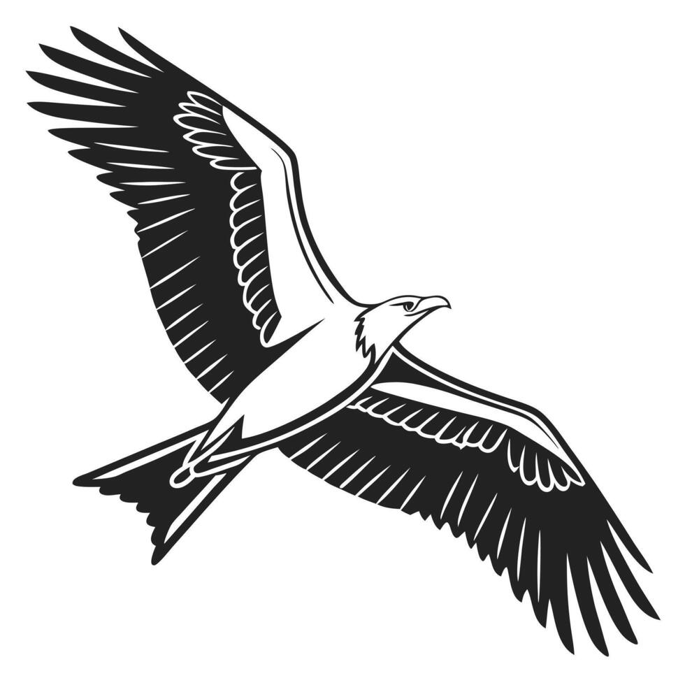 A black and white drawing of an eagle flying vector