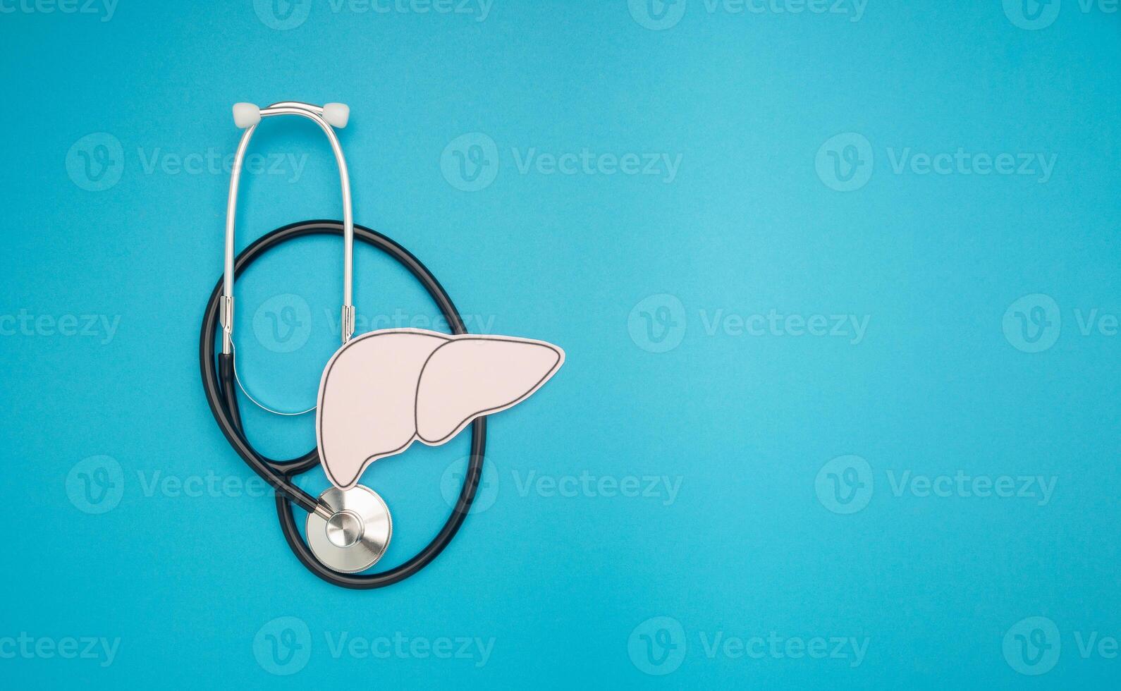 A stethoscope and liver shape made of paper are over a blue background photo
