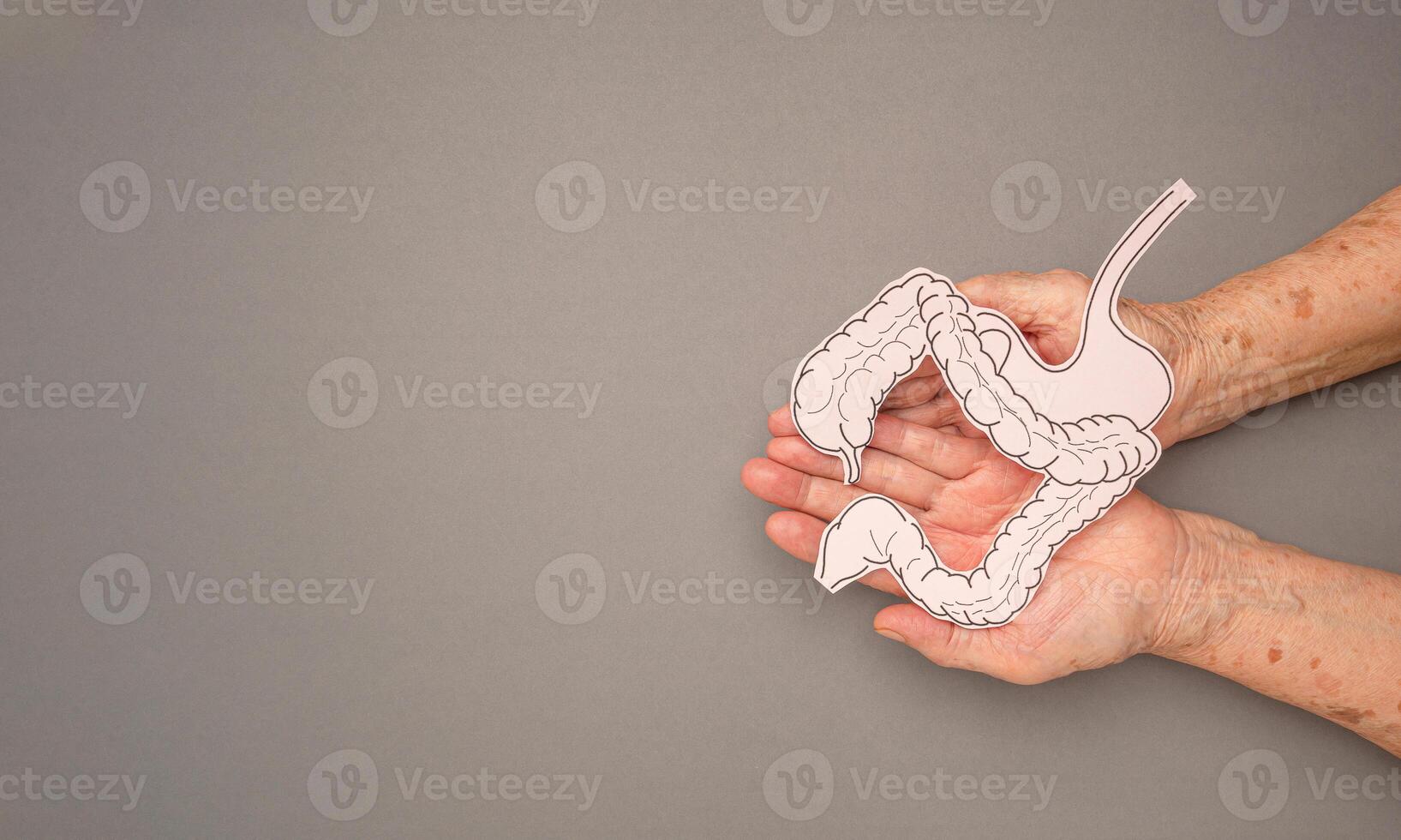 Large intestine shape made from paper on a palm senior woman on a gray background photo